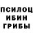 Галлюциногенные грибы MAGIC MUSHROOMS Toshiro Drago