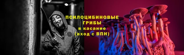 ALPHA PVP Баксан