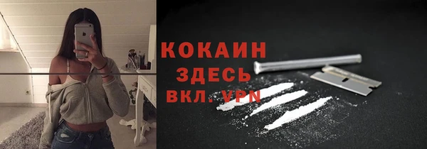 меф Гатчина